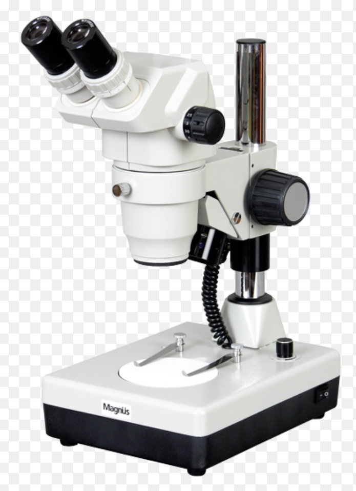 Complete Guide to Choosing the Right Microscope for Medical and Laboratory Use. 